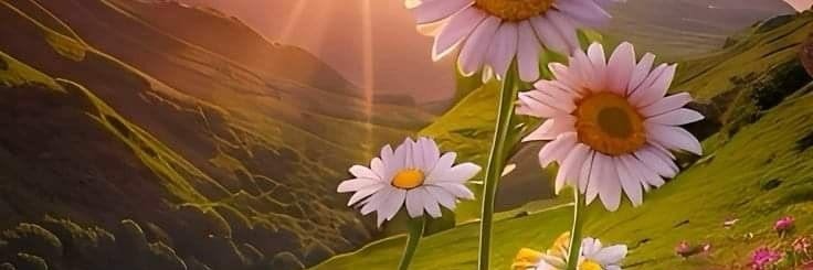 C a m y 🌻✨️'s banner