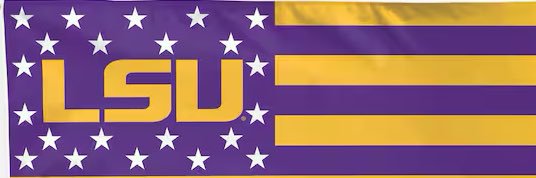 LSU VS 🌎's banner