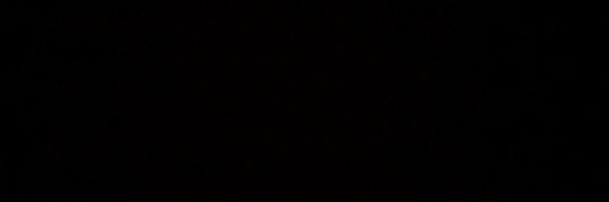 Capo 𓆗's banner