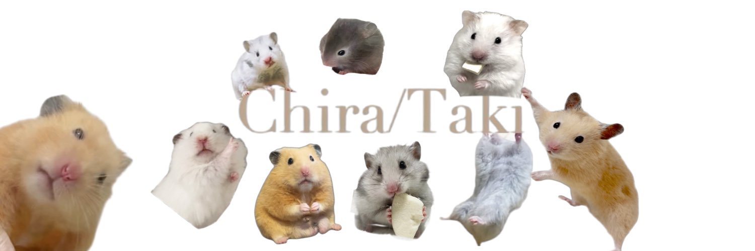 Chira/Taki (ちらたき)'s banner