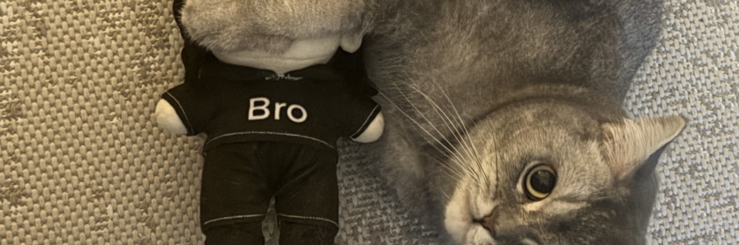 Teti (wordless 🐌)'s banner