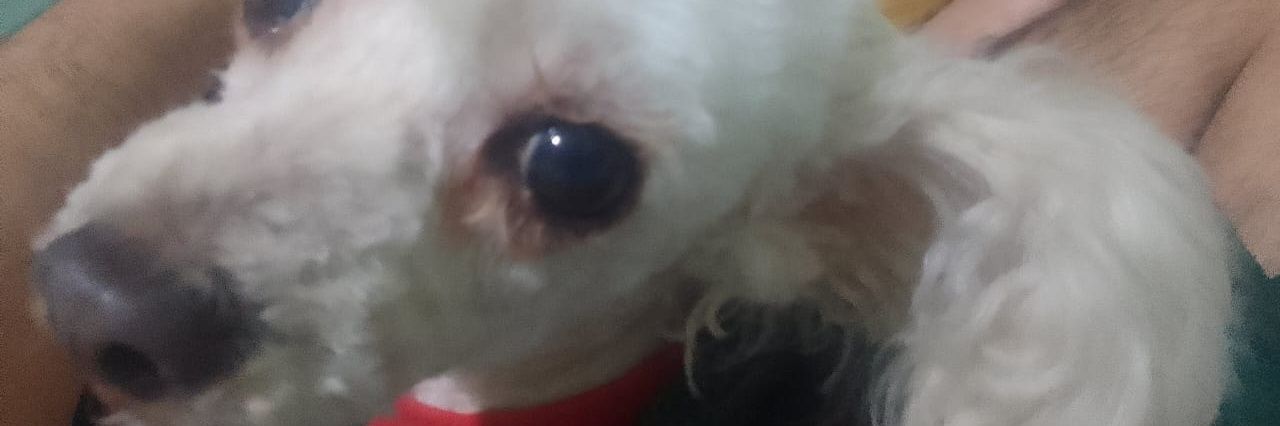 Turbo Okarun 👽🛸👻's banner