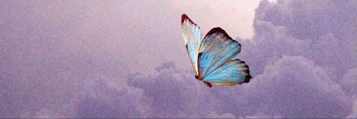 🦋 𝓑𝓾𝓽𝓽𝓮𝓻𝓯𝓵𝔂 🦋's banner