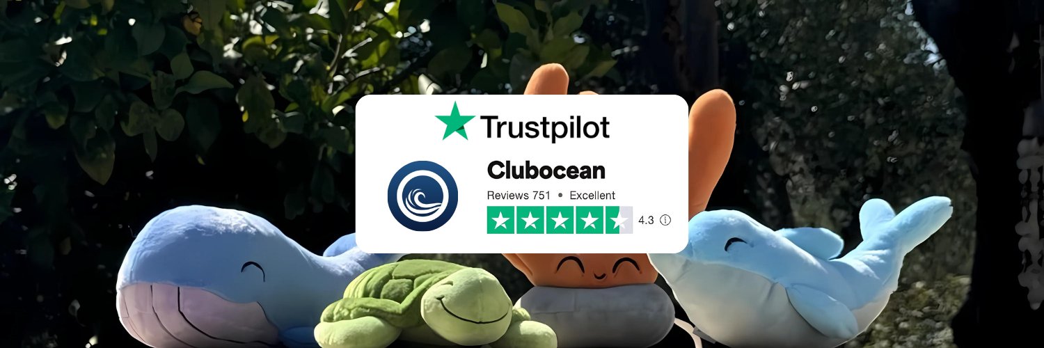 Club Ocean's banner