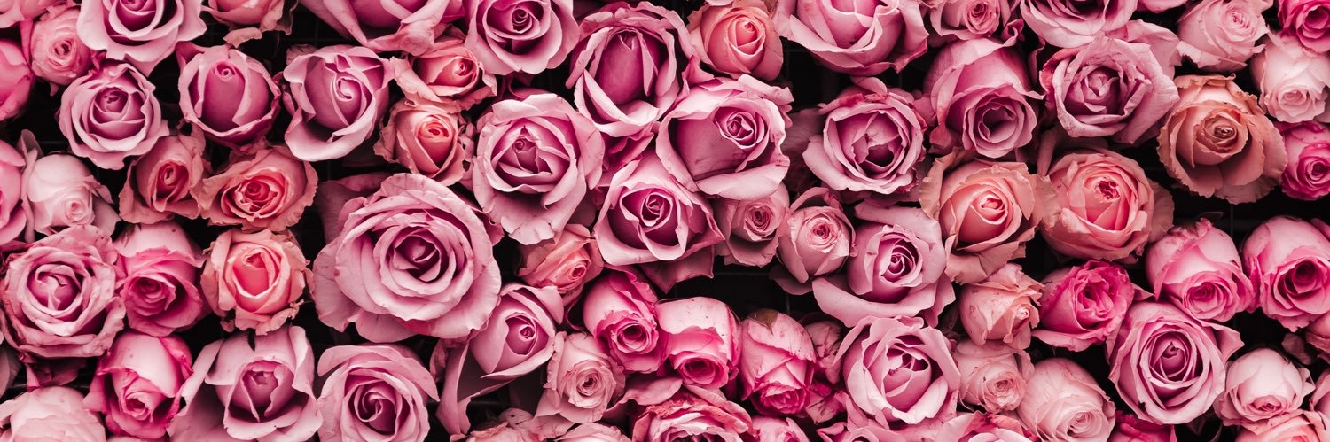 🌹BONFANTTI🌹's banner