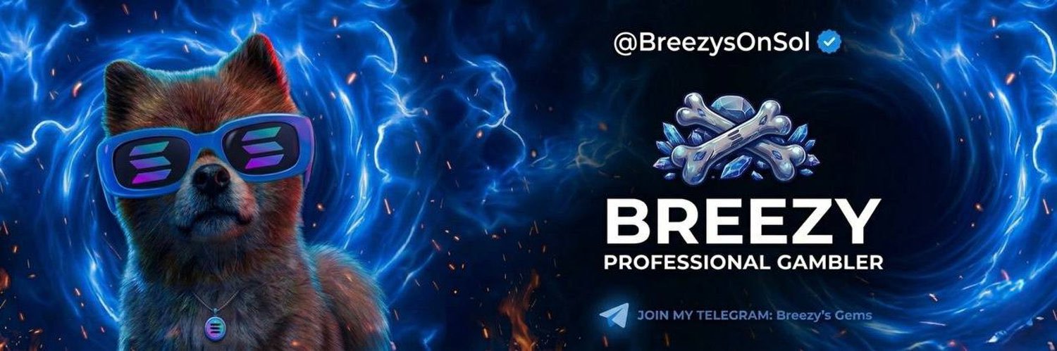 breezy's banner