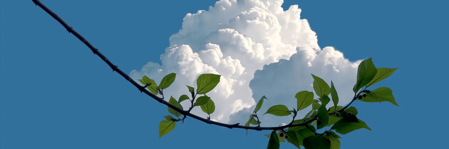 هديل غالية's banner