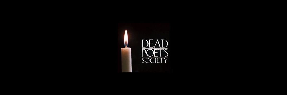 dps thinker 💭's banner