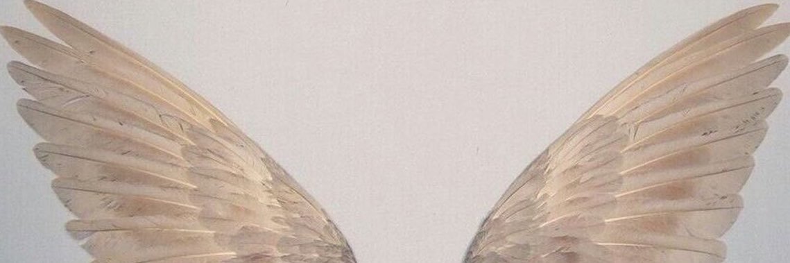 🏹's banner