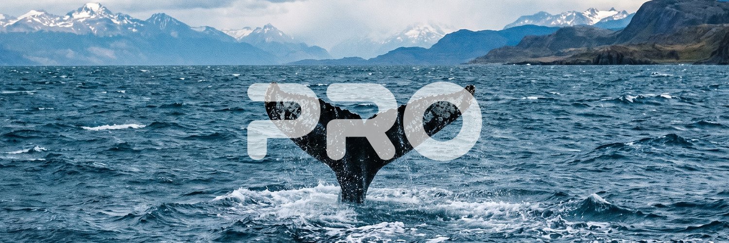 PRO's banner