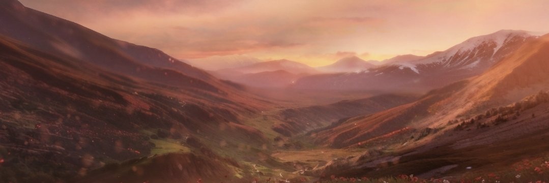 Gin 🌱's banner