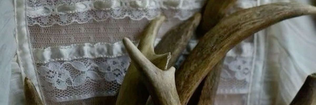 𝔴𝔲𝔩𝔣𝔰𝔟𝔞𝔫𝔢 ⫘⫘⫘ ⟢'s banner