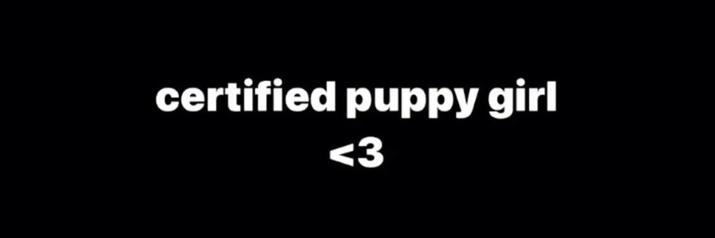 bibi 🐾's banner