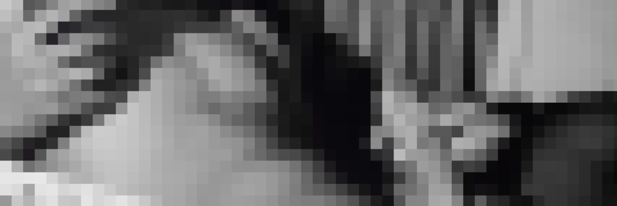 Dim Dom's banner