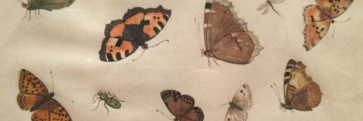 lyndsay's banner