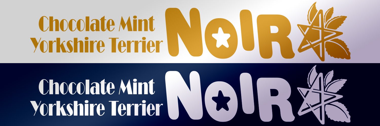 ノア's banner