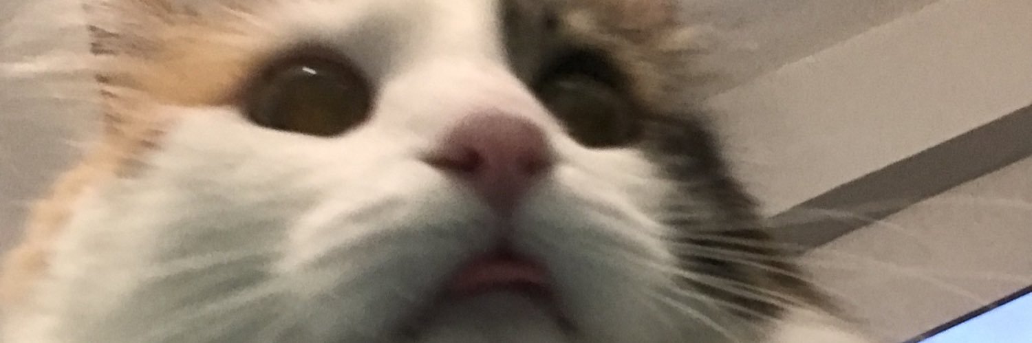 waffle's banner