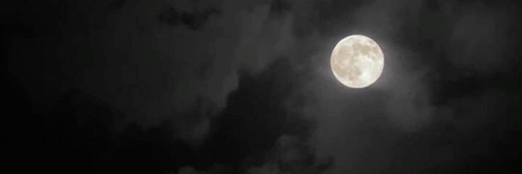 امید پسر لر ⚖️'s banner