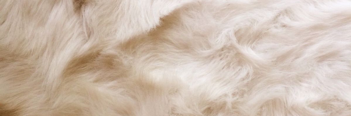 ruru's banner