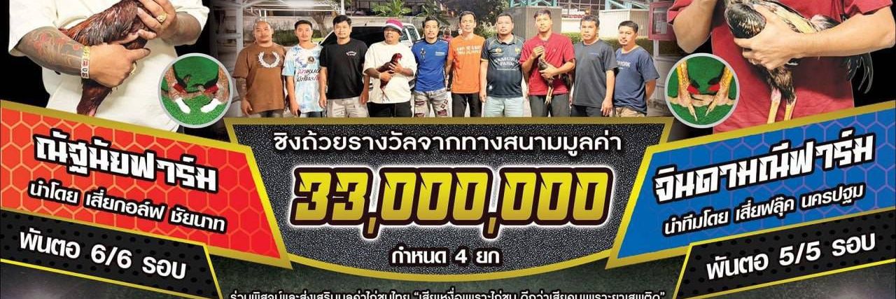 ไก่ชน's banner