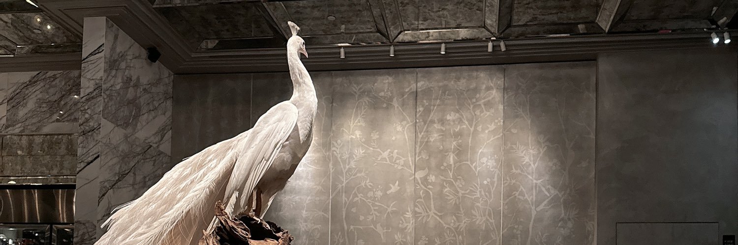 Stellaluan's banner