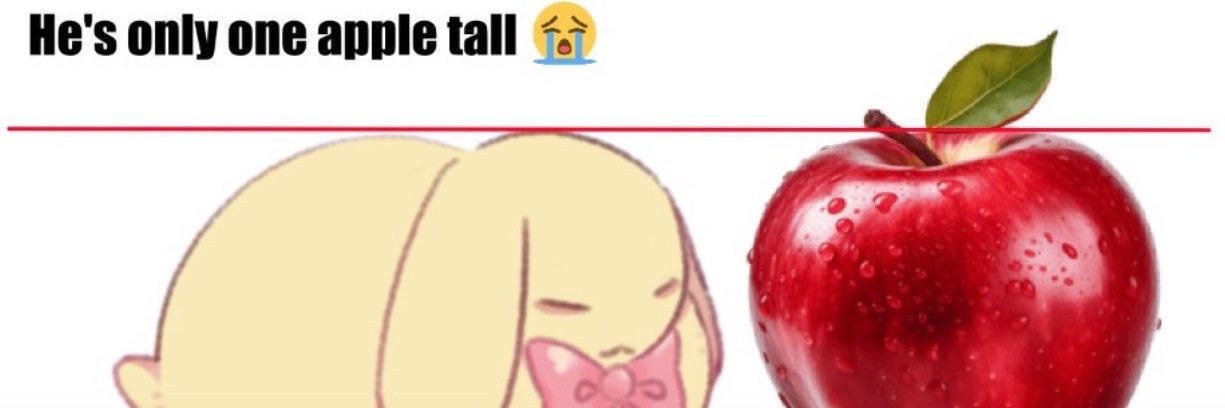 ˖DoonoᲘ𐑼⭑'s banner