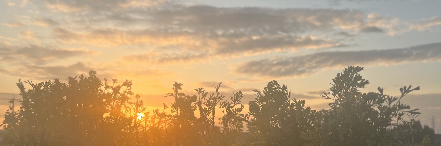 Phi Hồ | Phillip's banner