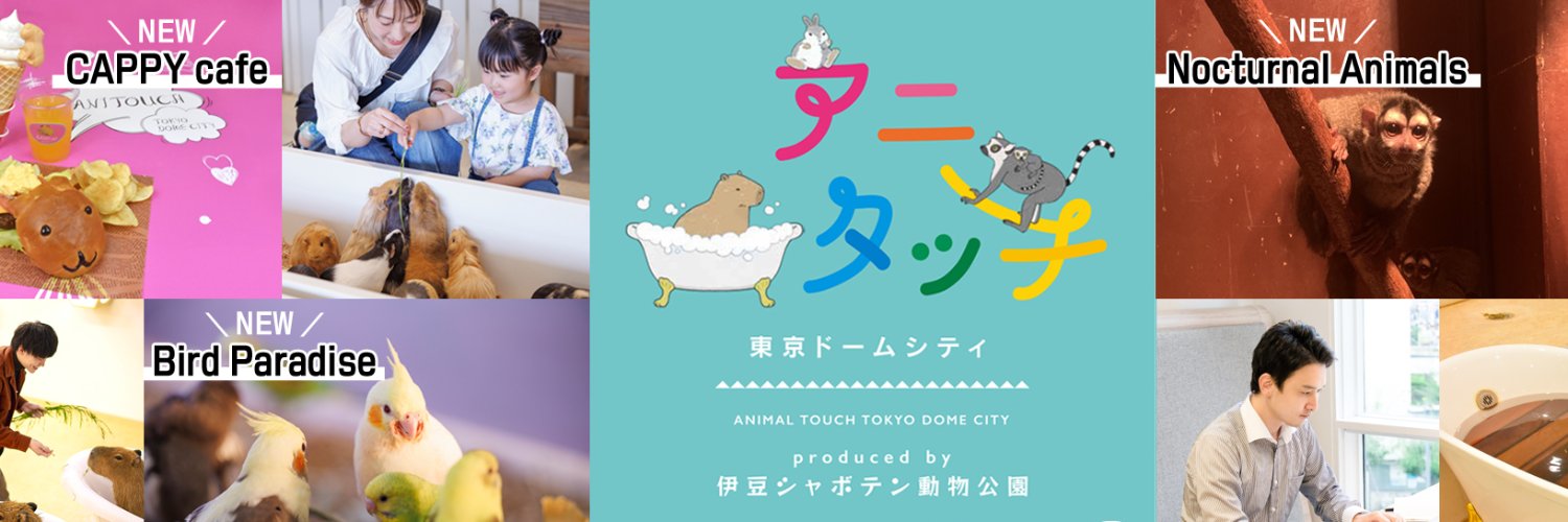 アニタッチ 東京ドームシティ【公式】's banner