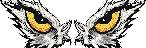 Hawk's Eye's banner