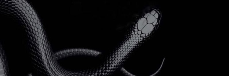 ใจเริง🐍's banner