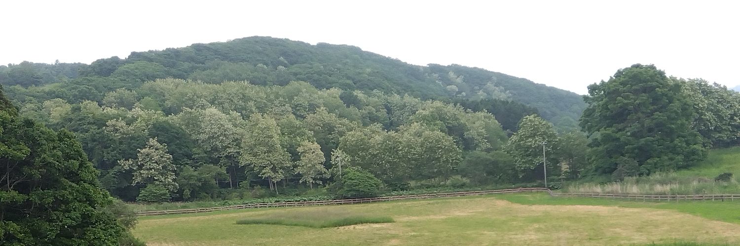 ノーザンレイククラブ's banner