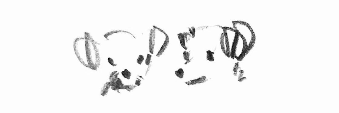 Pikky ¹'s banner