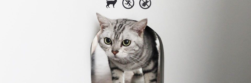 なな・*'s banner