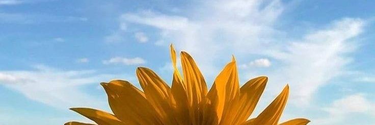 WKhwannn32's banner