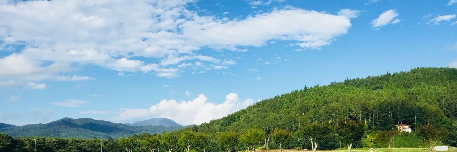 天野 かな's banner