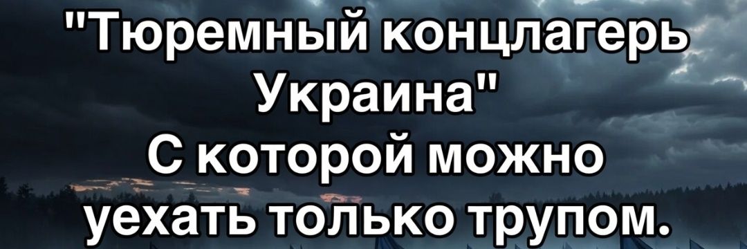 maks 🇺🇦's banner