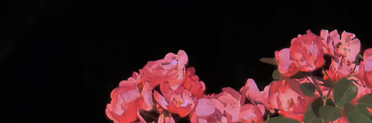 枕爻's banner