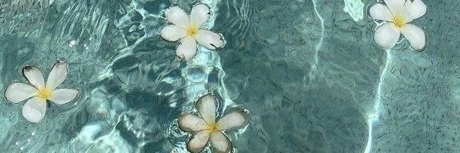 tigreza ₊⊹❀'s banner