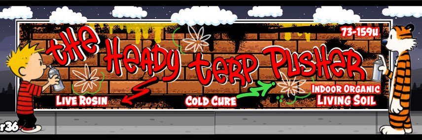 TheHeadyTerpPusher's banner