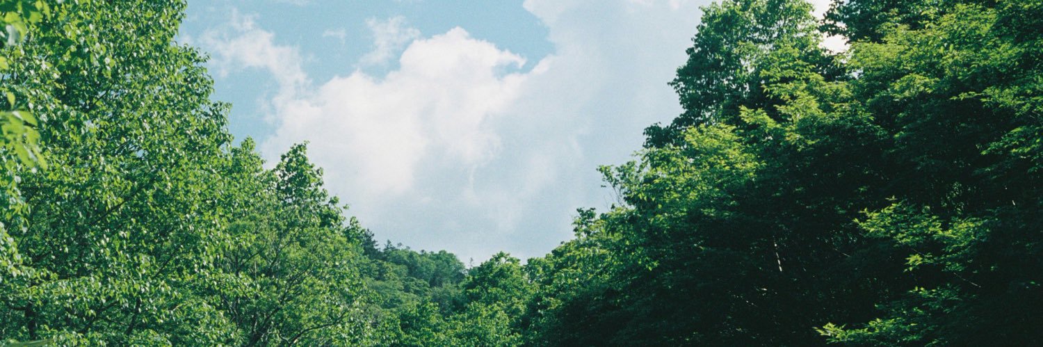 Be_fon couple's banner