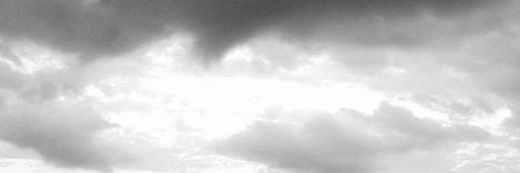 el's banner