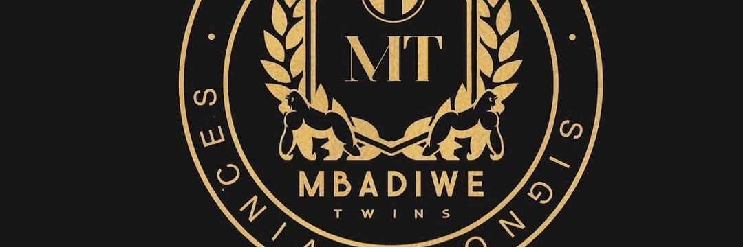 Mbadiwetwins #BBNaija's banner