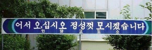 포포's banner