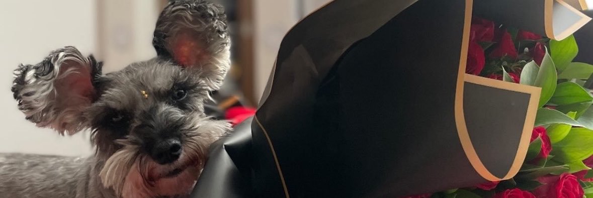🦥's banner