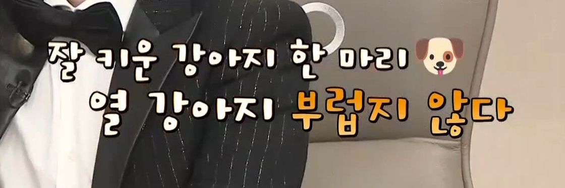 키디's banner