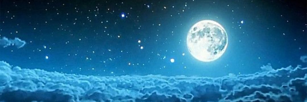 Mr Moonlight 🌛's banner