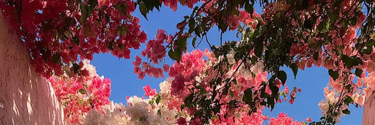 Stacies Mom1's banner