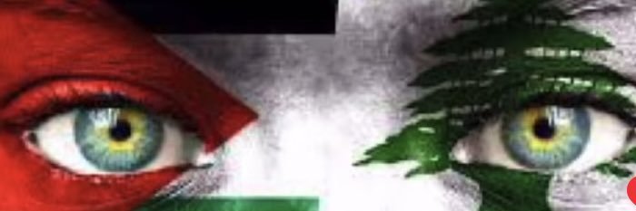 Lilly Foz 🚩's banner