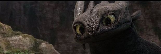 Toothless's banner