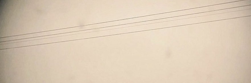𑁍's banner